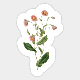 Delicate pink botanical Sticker